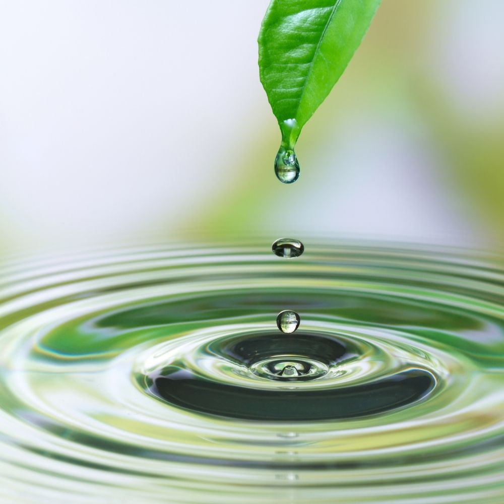 Ingredient Depot - Inositol (myo-inositol) USP Grade