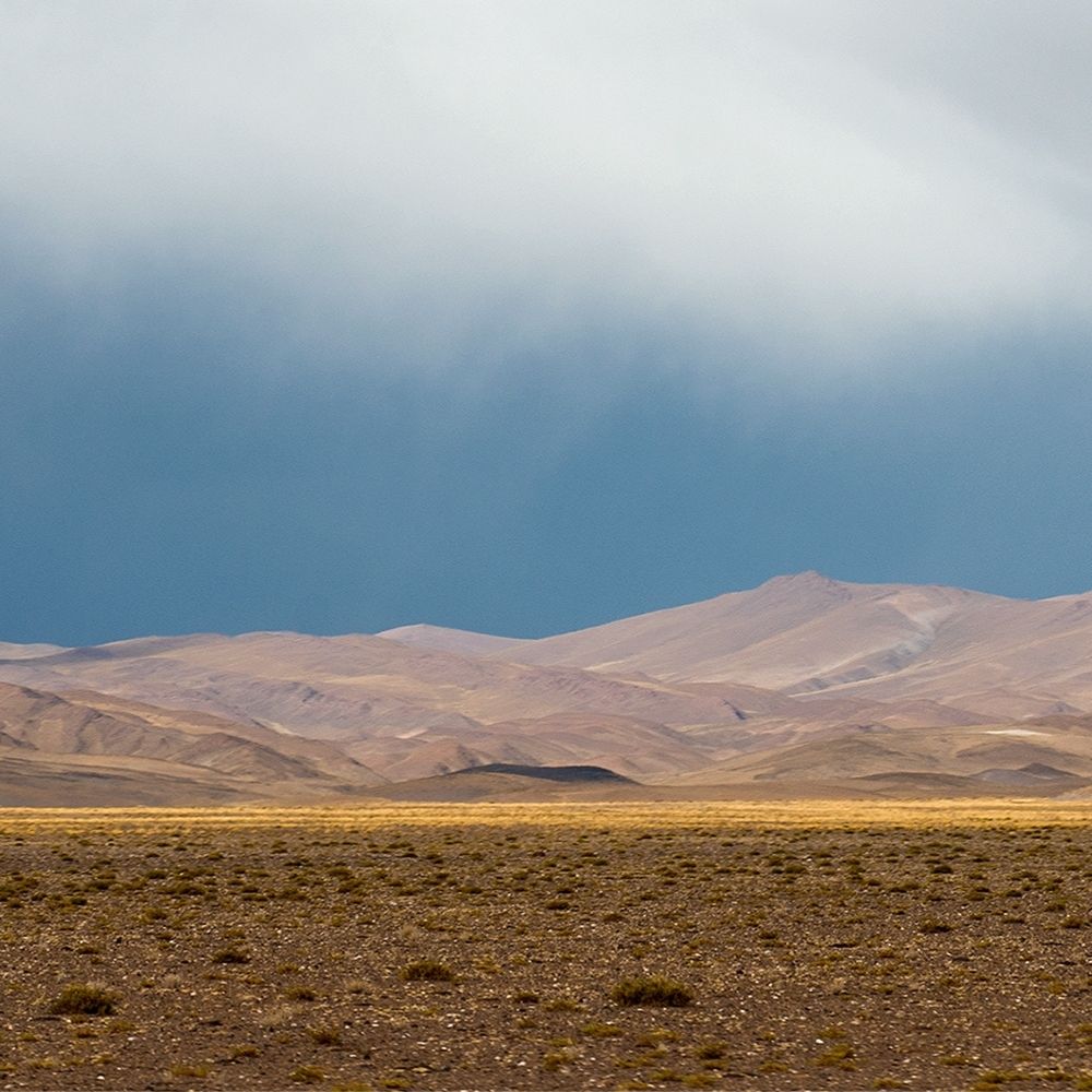 Ingredient Depot Lugol Iodine Solution