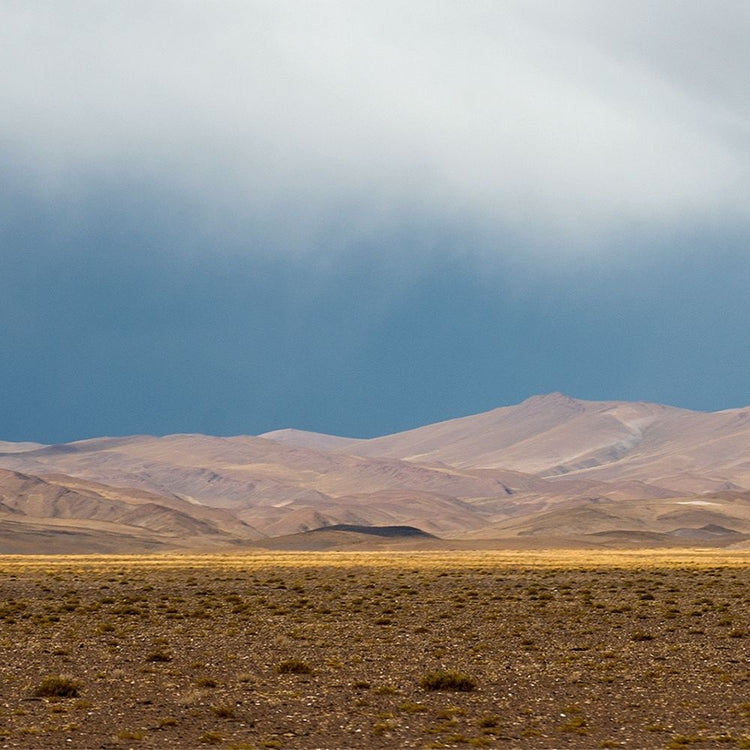 Ingredient Depot Lugol Iodine Solution