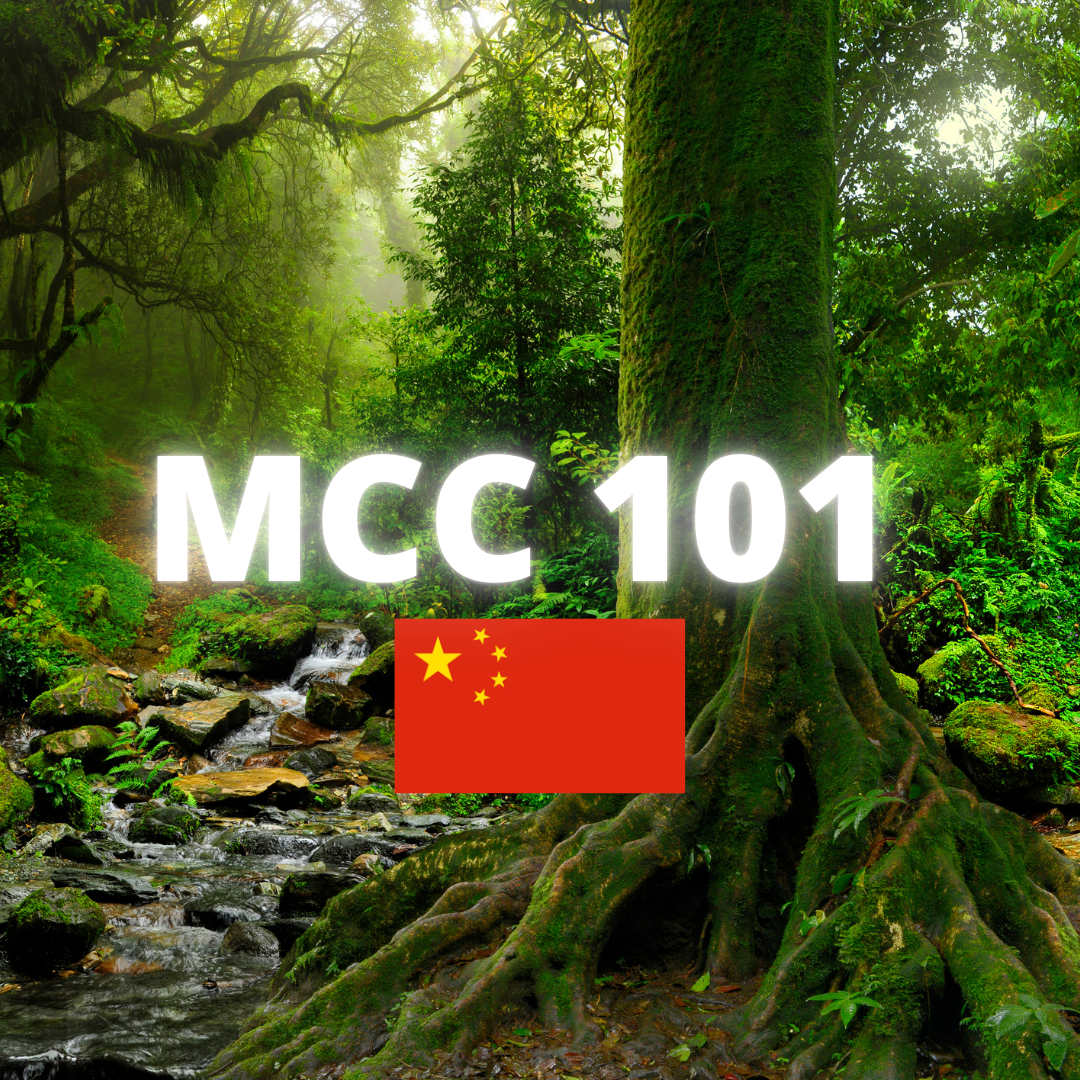 MCC 101 China - Quality Microcrystalline Cellulose | Ingredient Depot