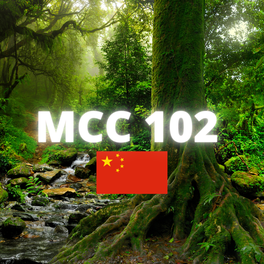MCC 102 China Microcrystalline Cellulose of Choice | Ingredient Depot