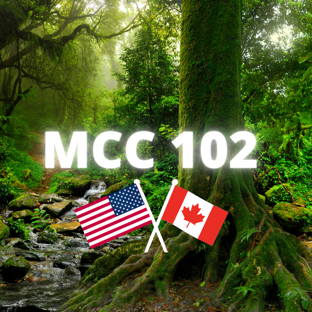 MCC 102 North America - Microcrystalline Cellulose | Ingredient Depot
